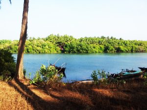 River in Agonda